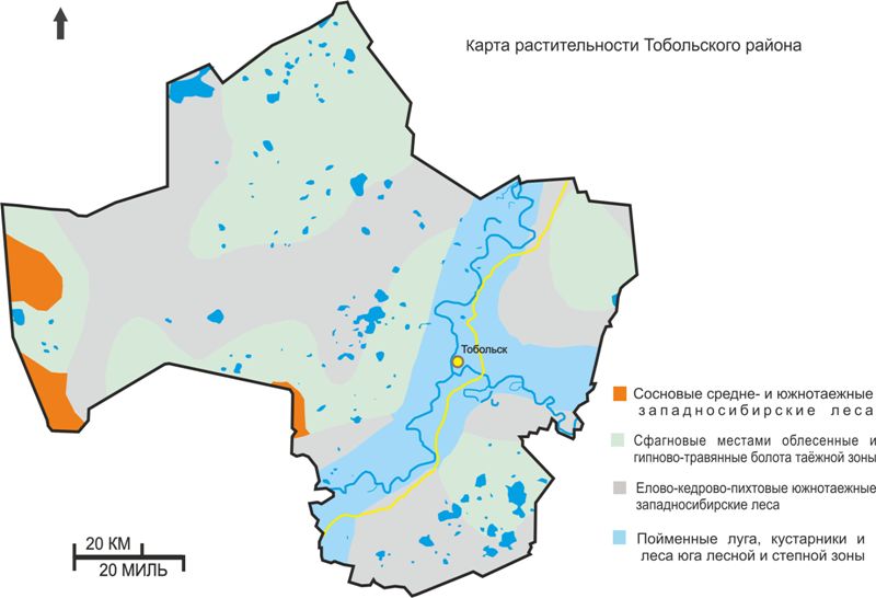 Спутниковая карта тобольск